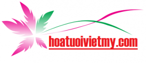 Shop hoa tươi thị xã La Gi