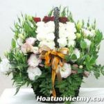 Hoa sinh nhật 876