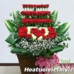 Hoa sinh nhật 877