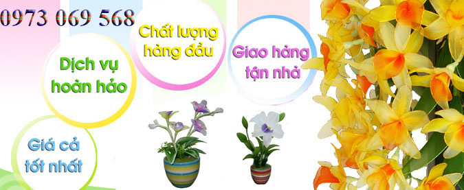 Shop hoa tươi tại thị xã Long Khánh