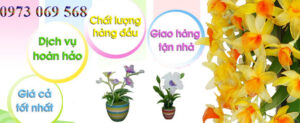 shop hoa tươi Phường Thới An Hồ Chí Minh Sài Gòn